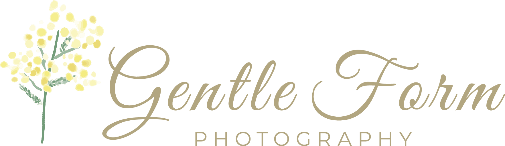 福山市で家族写真・七五三・マタニティフォト・振袖写真の出張撮影なら『Gentle Form Photography』